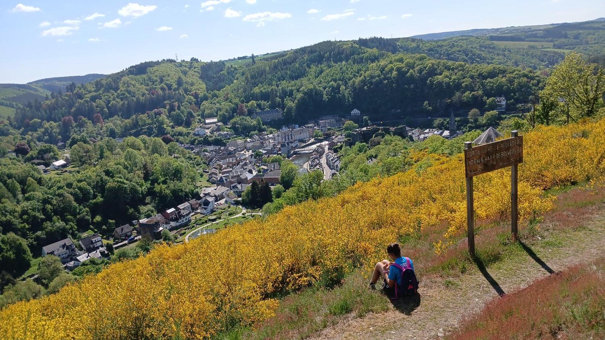 Villa Le Panorama La-Roche-en-Ardenne Exterior foto